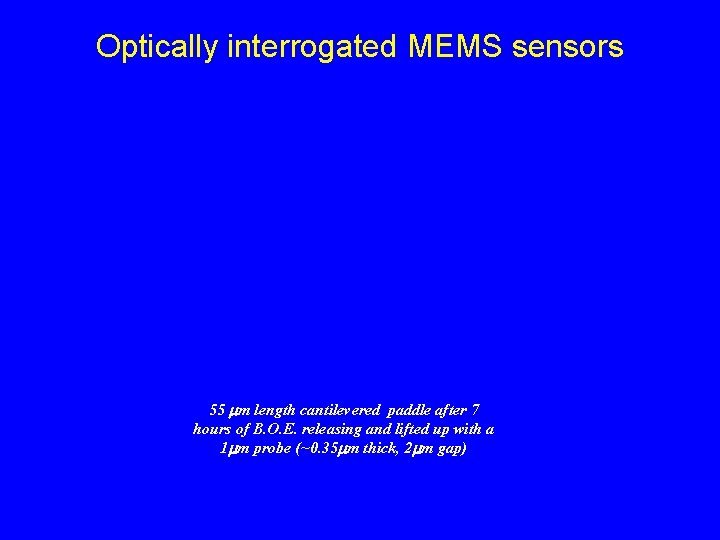 Optically interrogated MEMS sensors 55 mm length cantilevered paddle after 7 hours of B.