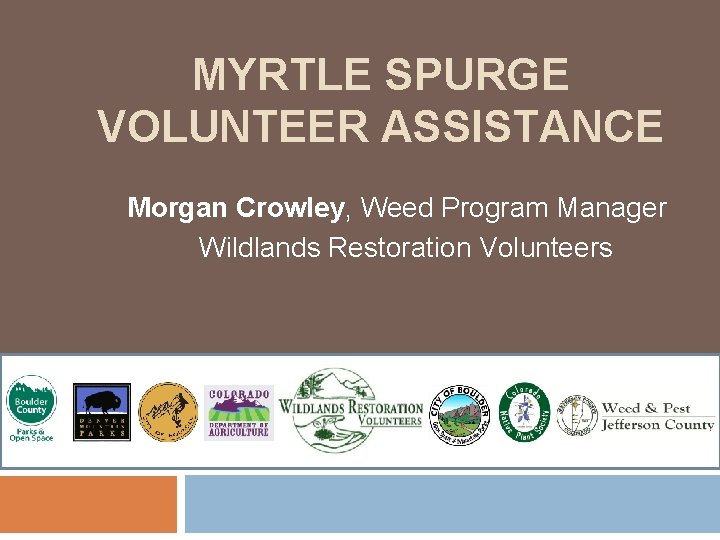 MYRTLE SPURGE VOLUNTEER ASSISTANCE Morgan Crowley, Weed Program Manager Wildlands Restoration Volunteers MYRTLE SPURGE VOLUNTEER ASSISTANCE Morgan Crowley, Weed Program Manager Wildlands Restoration Volunteers