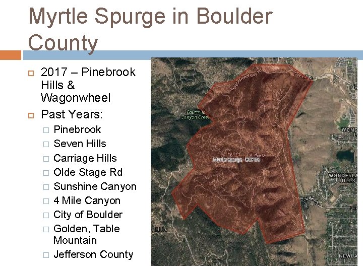 Myrtle Spurge in Boulder County 2017 – Pinebrook Hills & Wagonwheel Past Years: � Myrtle Spurge in Boulder County 2017 – Pinebrook Hills & Wagonwheel Past Years: �
