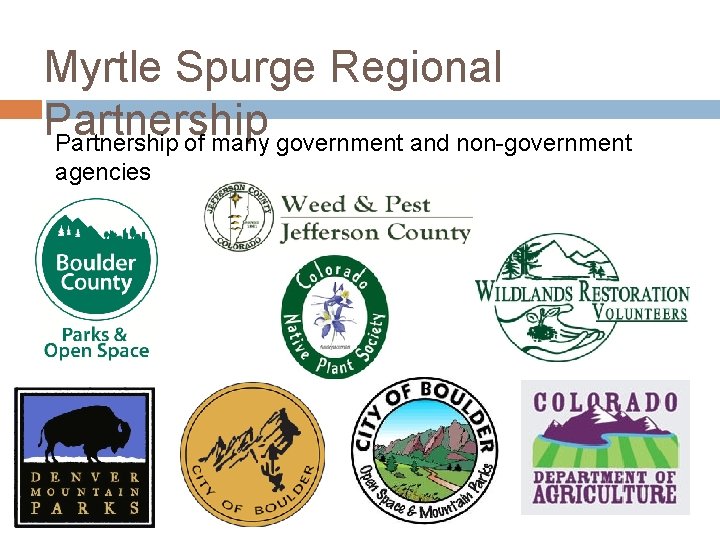 Myrtle Spurge Regional Partnership of many government and non-government agencies Myrtle Spurge Regional Partnership of many government and non-government agencies