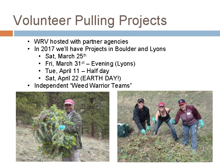 Volunteer Pulling Projects • WRV hosted with partner agencies • In 2017 we’ll have Volunteer Pulling Projects • WRV hosted with partner agencies • In 2017 we’ll have