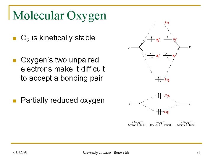 Molecular Oxygen n O 2 is kinetically stable n Oxygen’s two unpaired electrons make Molecular Oxygen n O 2 is kinetically stable n Oxygen’s two unpaired electrons make