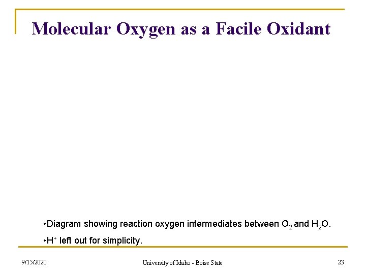 Molecular Oxygen as a Facile Oxidant • Diagram showing reaction oxygen intermediates between O Molecular Oxygen as a Facile Oxidant • Diagram showing reaction oxygen intermediates between O