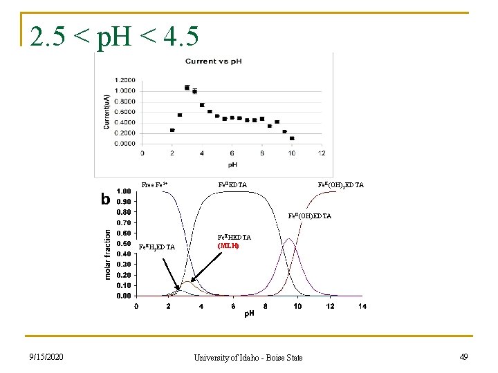 2. 5 < p. H < 4. 5 Free Fe 2+ Fe. IIEDTA Fe. 2. 5 < p. H < 4. 5 Free Fe 2+ Fe. IIEDTA Fe.