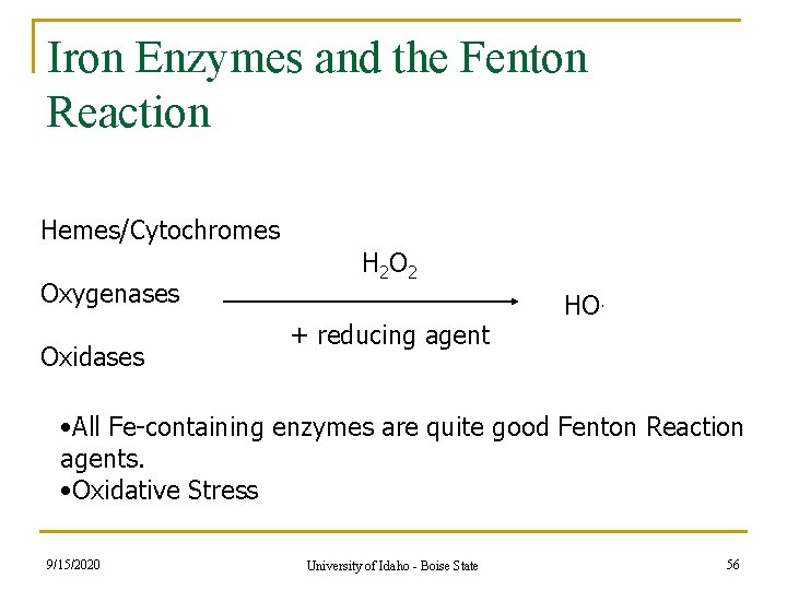 Iron Enzymes and the Fenton Reaction Hemes/Cytochromes Oxygenases Oxidases H 2 O 2 + Iron Enzymes and the Fenton Reaction Hemes/Cytochromes Oxygenases Oxidases H 2 O 2 +