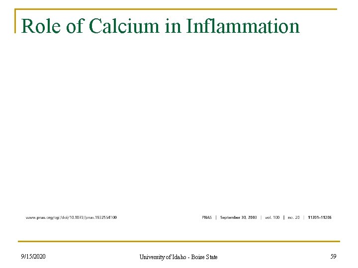 Role of Calcium in Inflammation 9/15/2020 University of Idaho - Boise State 59 Role of Calcium in Inflammation 9/15/2020 University of Idaho - Boise State 59