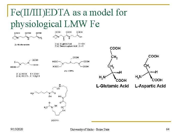 Fe(II/III)EDTA as a model for physiological LMW Fe 9/15/2020 University of Idaho - Boise Fe(II/III)EDTA as a model for physiological LMW Fe 9/15/2020 University of Idaho - Boise