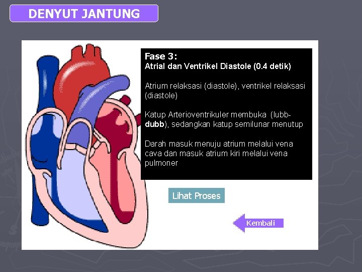DENYUT JANTUNG Fase 3: Atrial dan Ventrikel Diastole (0. 4 detik) Atrium relaksasi (diastole),