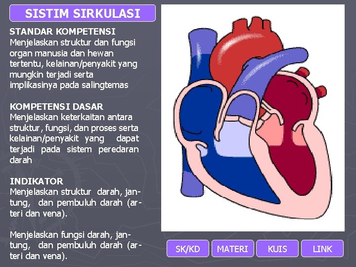SISTIM SIRKULASI STANDAR KOMPETENSI Menjelaskan struktur dan fungsi organ manusia dan hewan tertentu, kelainan/penyakit