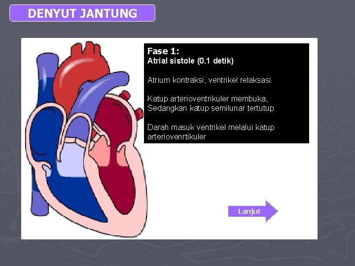 DENYUT JANTUNG Fase 1: Atrial sistole (0. 1 detik) Atrium kontraksi, ventrikel relaksasi Katup