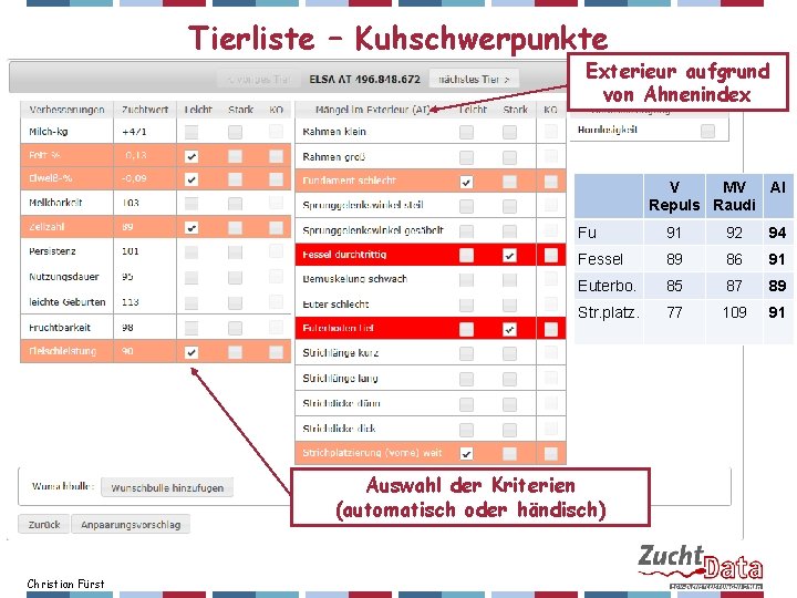 Tierliste – Kuhschwerpunkte Exterieur aufgrund von Ahnenindex V MV AI Repuls Raudi Fu 91