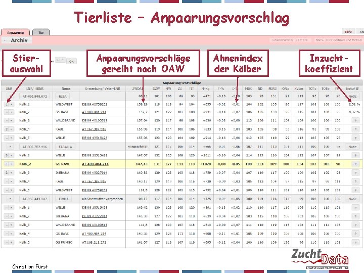 Tierliste – Anpaarungsvorschlag Stierauswahl Christian Fürst Anpaarungsvorschläge gereiht nach OAW Ahnenindex der Kälber Inzuchtkoeffizient