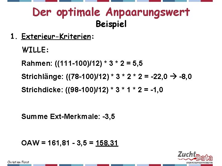 Der optimale Anpaarungswert Beispiel 1. Exterieur-Kriterien: WILLE: Rahmen: ((111 -100)/12) * 3 * 2