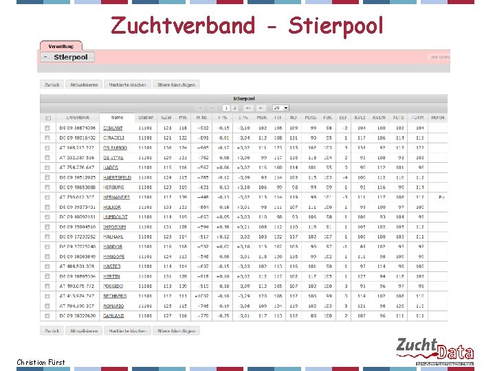 Zuchtverband - Stierpool Christian Fürst 