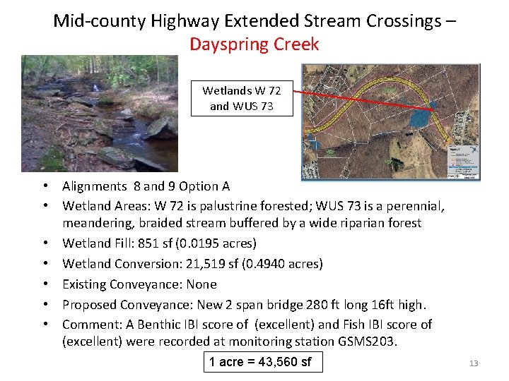 Mid-county Highway Extended Stream Crossings – Dayspring Creek Wetlands W 72 and WUS 73