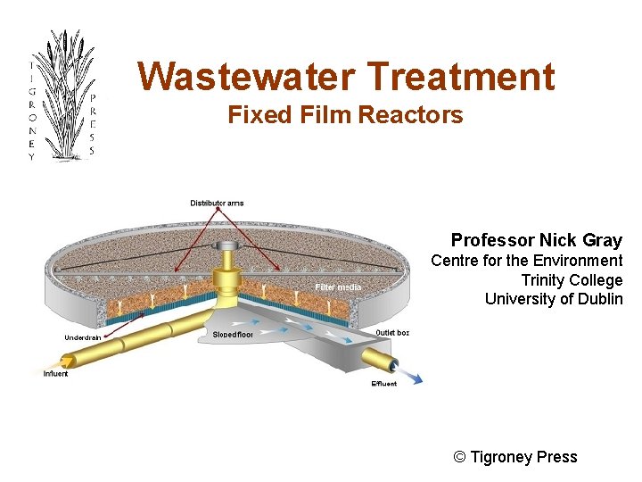 Wastewater Treatment Fixed Film Reactors Professor Nick Gray Centre for the Environment Trinity College