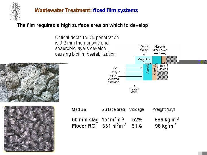 Wastewater Treatment: fixed film systems The film requires a high surface area on which