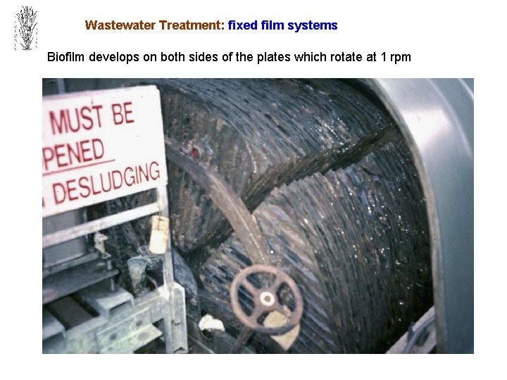 Wastewater Treatment: fixed film systems Biofilm develops on both sides of the plates which