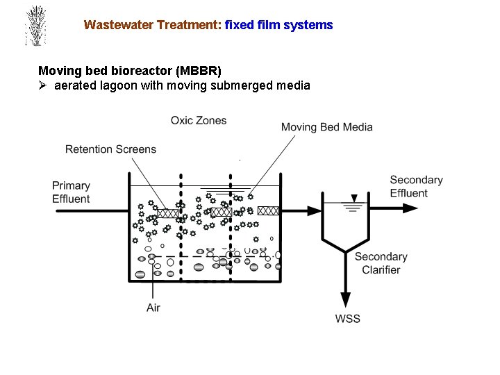 Wastewater Treatment: fixed film systems Moving bed bioreactor (MBBR) Ø aerated lagoon with moving