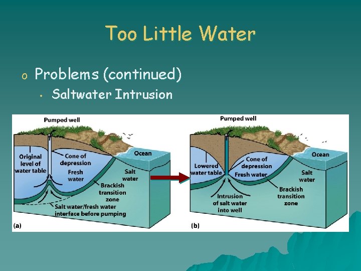 Water Is Very Less Chapter 14 Water A Limited Resource Importance of