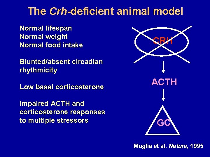 The Crh-deficient animal model Normal lifespan Normal weight Normal food intake CRH Blunted/absent circadian