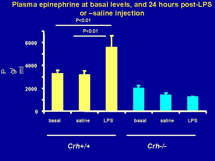 P g/ ml Plasma epinephrine at basal levels, and 24 hours post-LPS or –saline