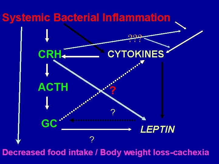 Systemic Bacterial Inflammation ? ? ? CRH CYTOKINES ACTH ? ? GC LEPTIN ?