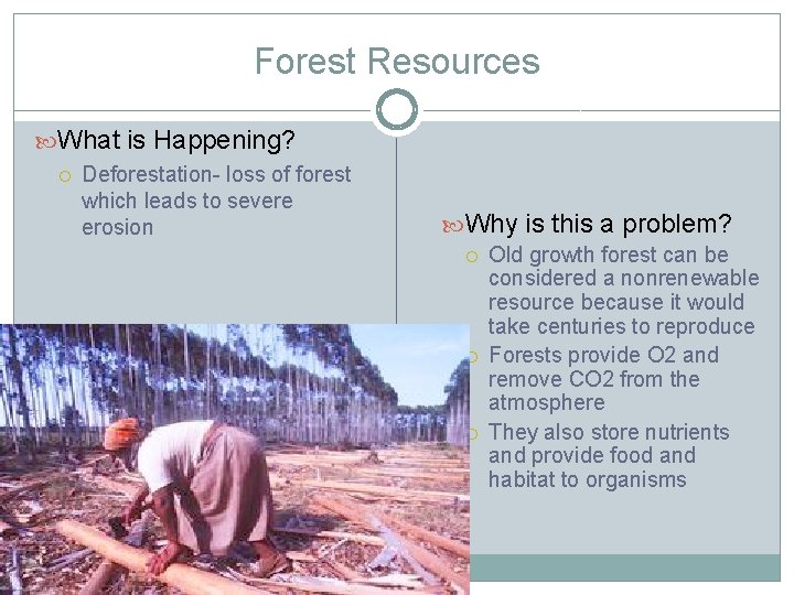 Forest Resources What is Happening? Deforestation- loss of forest which leads to severe erosion