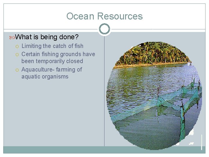 Ocean Resources What is being done? Limiting the catch of fish Certain fishing grounds