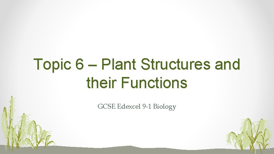 Topic 6 – Plant Structures and their Functions GCSE Edexcel 9 -1 Biology 