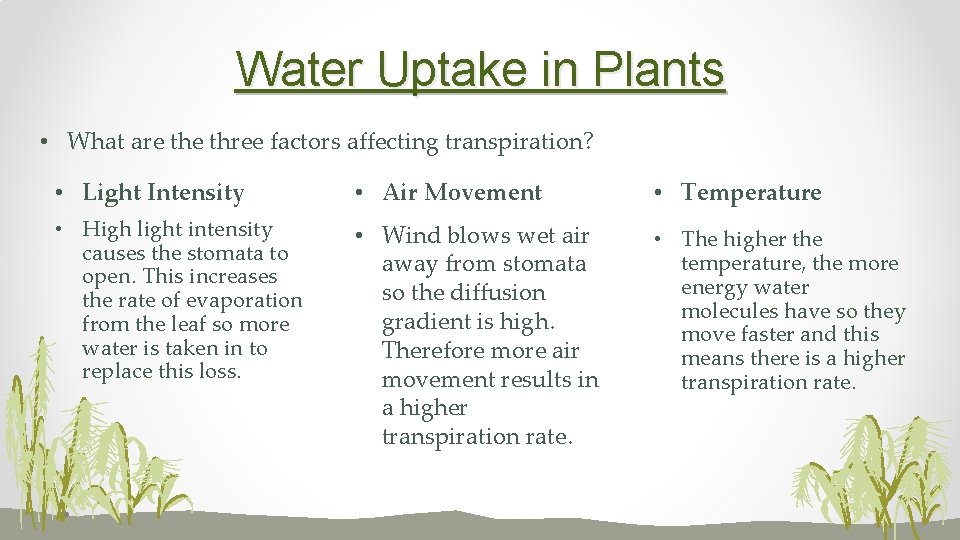 Water Uptake in Plants • What are three factors affecting transpiration? • Light Intensity