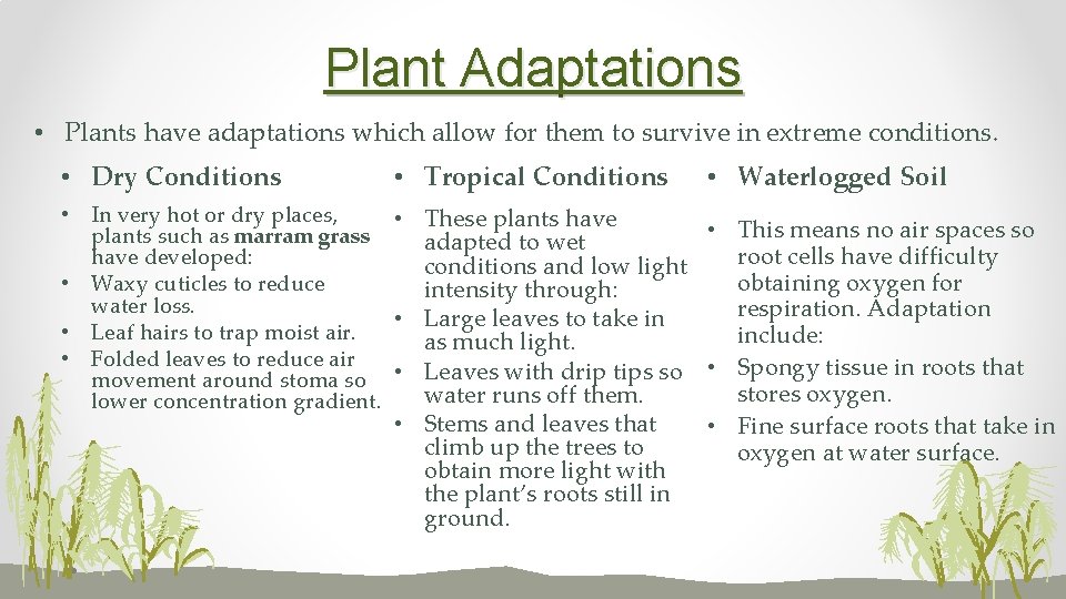 Plant Adaptations • Plants have adaptations which allow for them to survive in extreme