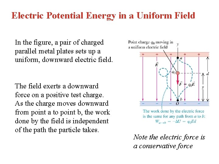 Electric Potential Energy in a Uniform Field In the figure, a pair of charged