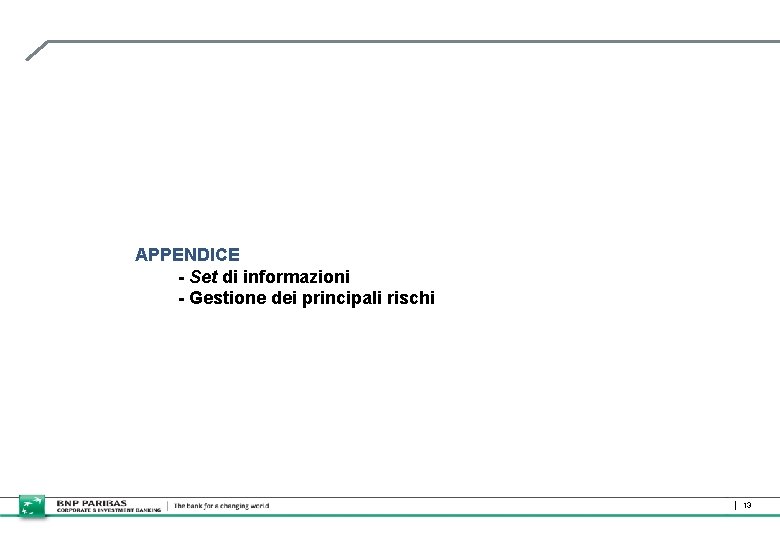 APPENDICE - Set di informazioni - Gestione dei principali rischi 13 