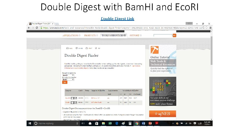 Double Digest with Bam. HI and Eco. RI Double Digest Link 