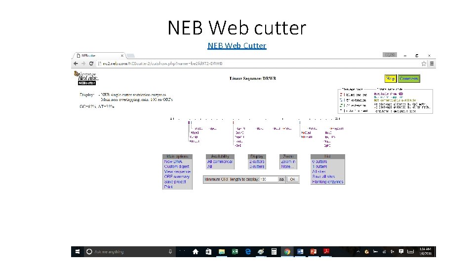 NEB Web cutter NEB Web Cutter 