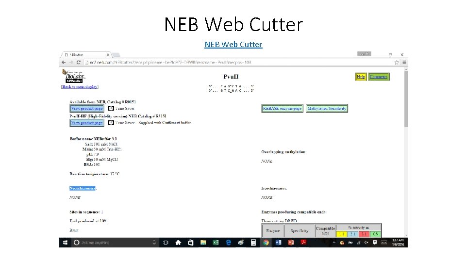 NEB Web Cutter 