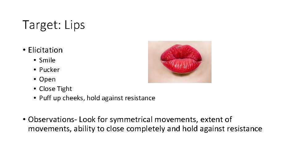 Target: Lips • Elicitation • • • Smile Pucker Open Close Tight Puff up