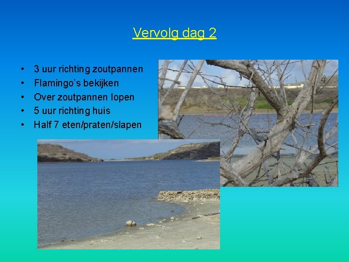 Vervolg dag 2 • • • 3 uur richting zoutpannen Flamingo’s bekijken Over zoutpannen