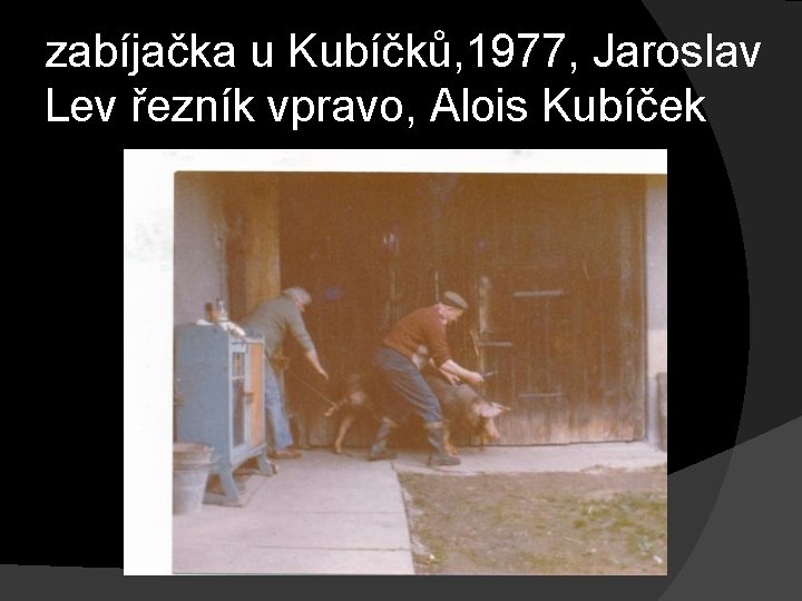 zabíjačka u Kubíčků, 1977, Jaroslav Lev řezník vpravo, Alois Kubíček 