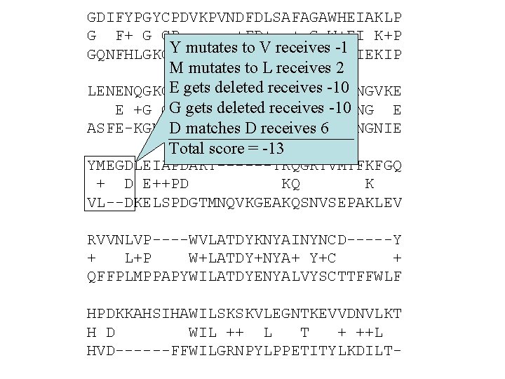 GDIFYPGYCPDVKPVNDFDLSAFAGAWHEIAKLP G F+ G CP +FD+ + G W+EI K+P Y mutates to V