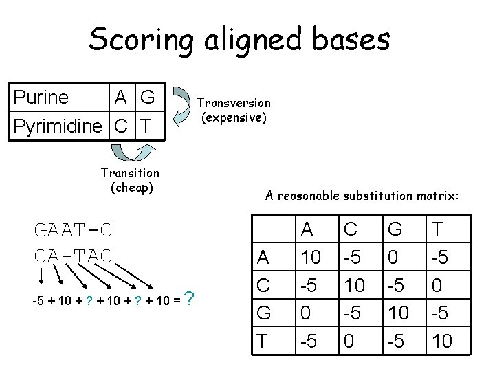 Scoring aligned bases Purine A G Pyrimidine C T Transition (cheap) GAAT-C CA-TAC -5