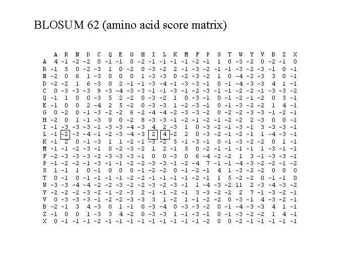 BLOSUM 62 (amino acid score matrix) A R N D C Q E G