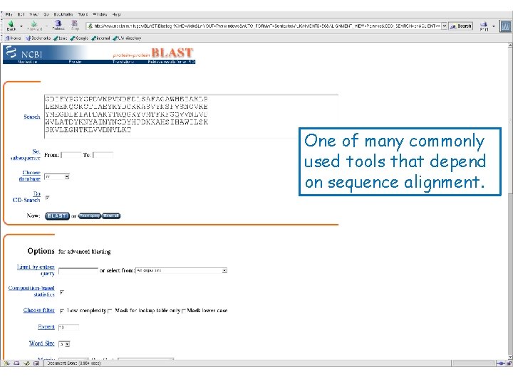 One of many commonly used tools that depend on sequence alignment. 