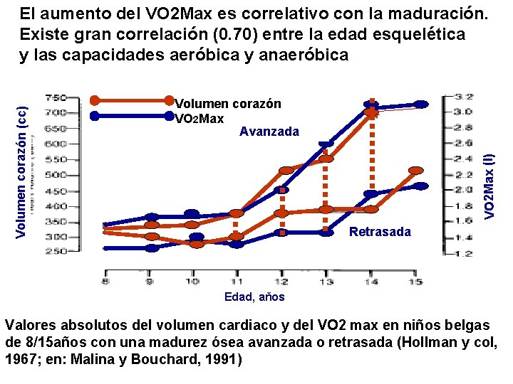 Volumen corazón VO 2 Max Avanzada VO 2 Max (l) Volumen corazón (cc) El