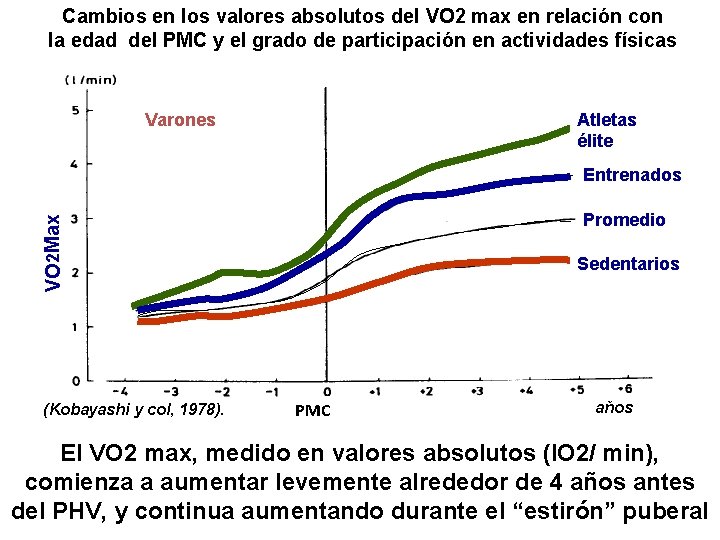 Cambios en los valores absolutos del VO 2 max en relación con la edad