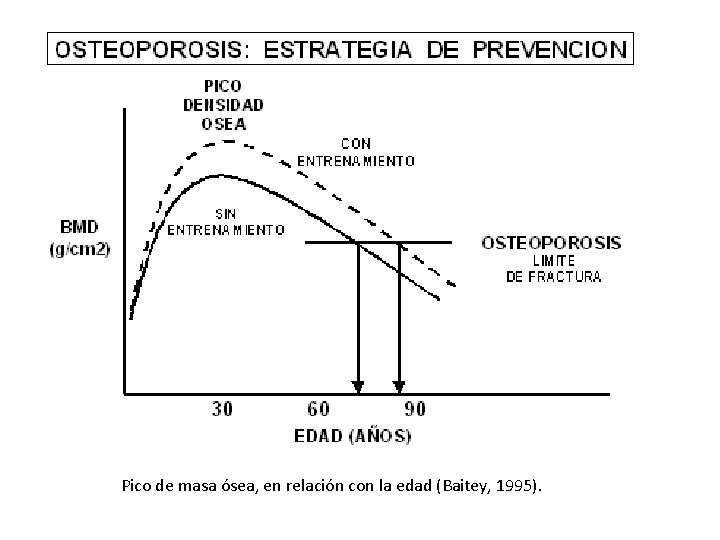 Figura 4. Pico de masa ósea, en relación con la edad (Baitey, 1995). 