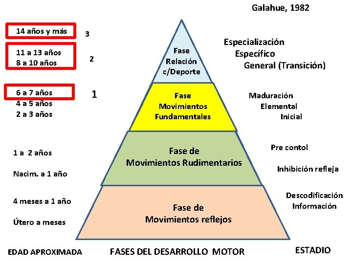 Galahue, 1982 14 años y más 11 a 13 años 8 a 10 años