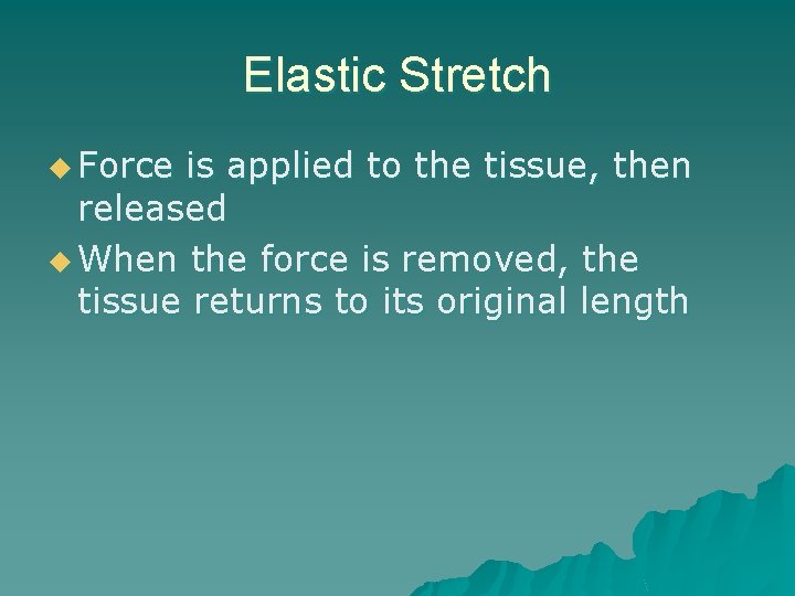 Elastic Stretch u Force is applied to the tissue, then released u When the
