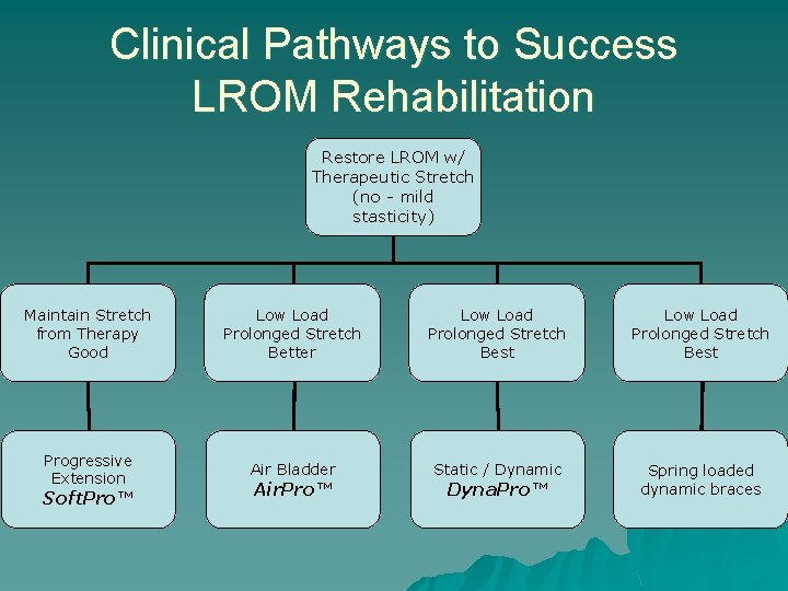 Clinical Pathways to Success LROM Rehabilitation Restore LROM w/ Therapeutic Stretch (no - mild